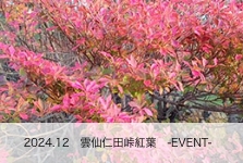 雲仙仁田峠紅葉