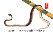 新年のご挨拶