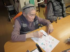 Owl Image