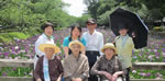 大村公園の菖蒲