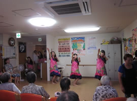 Owl Image